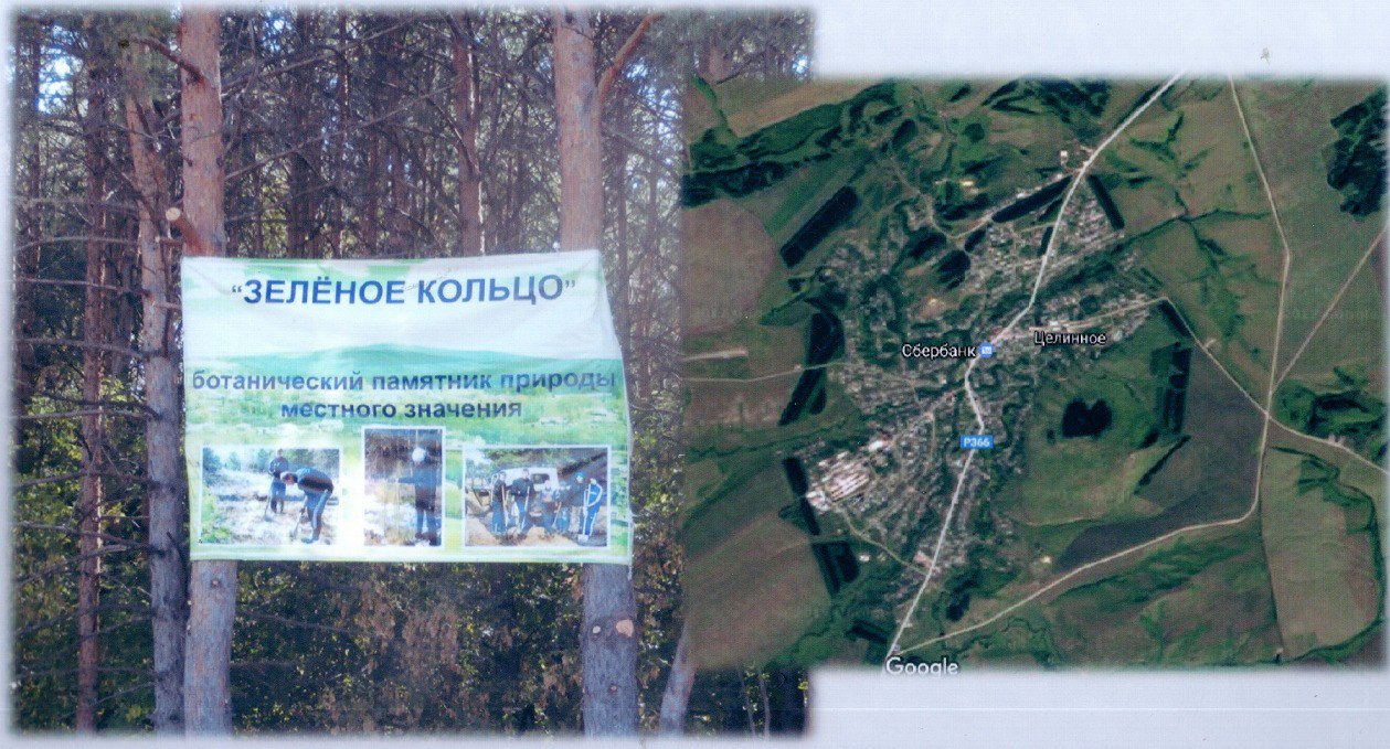 &amp;quot;Зелёное кольцо&amp;quot;.